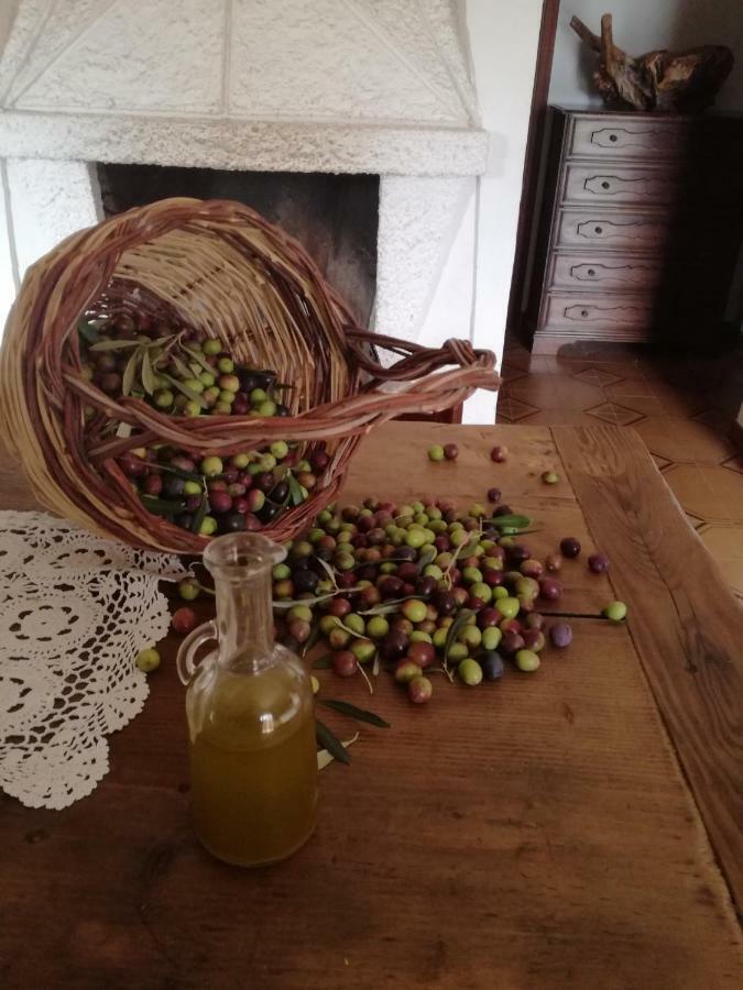 Casa La Calicchia Konuk evi Norma Dış mekan fotoğraf